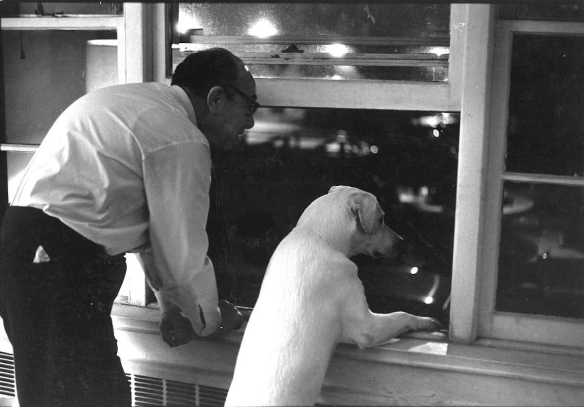 Looking Out The Window -Brooklyn by David Lang, Image 1.