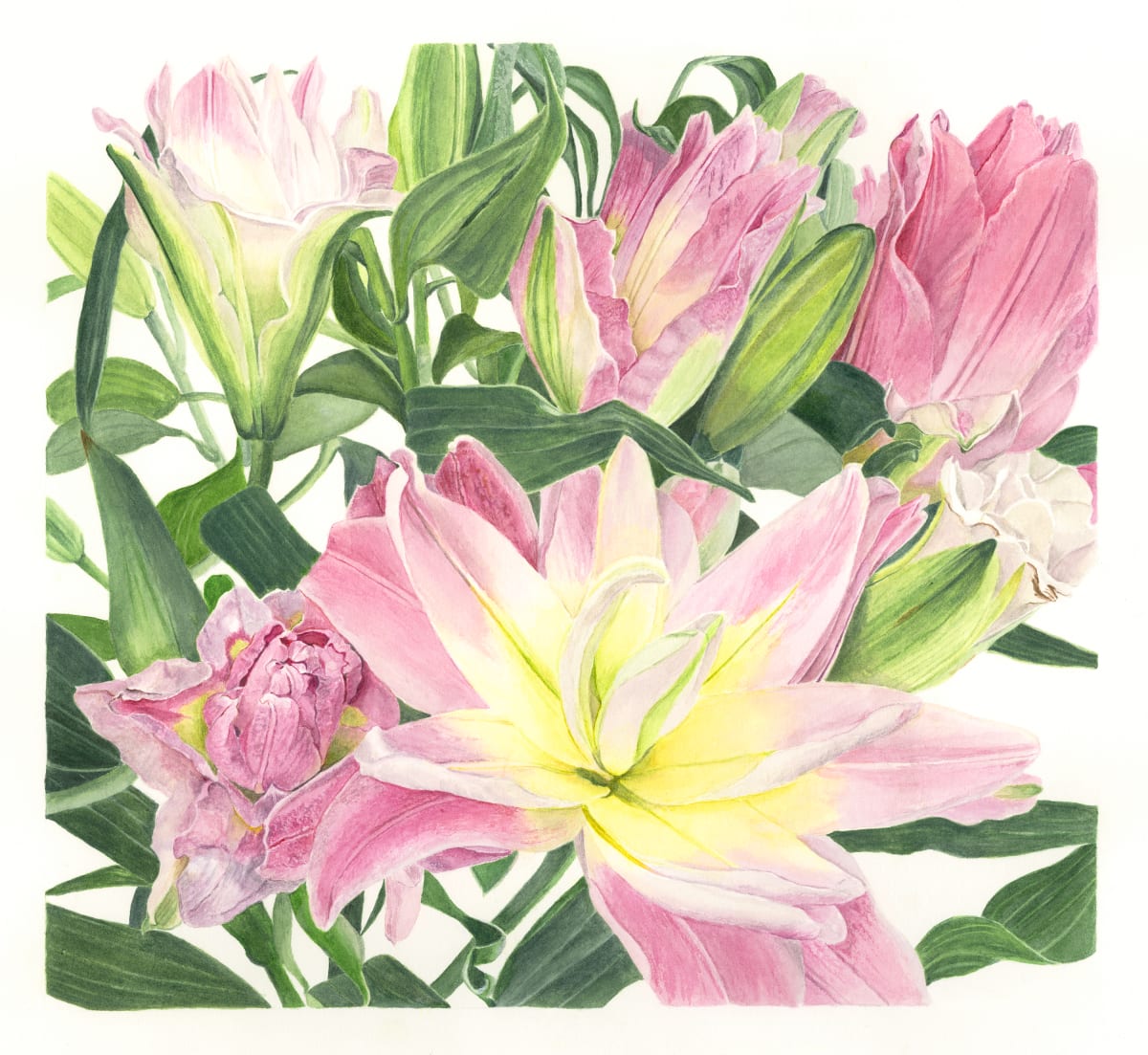 Lots of Lilies by Sally Jacobs 