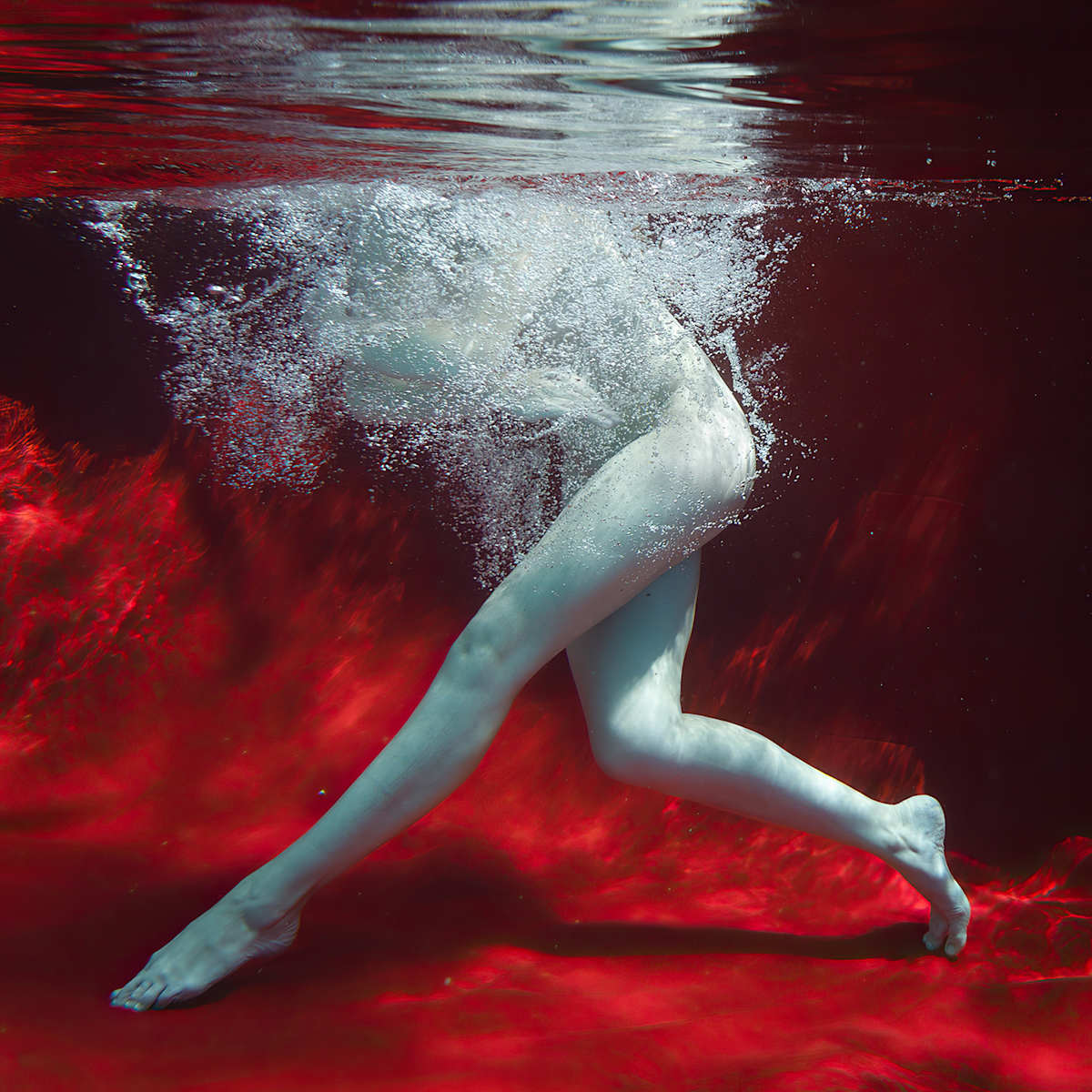 Linnea Abstraction by Dan Katz, Image 1.