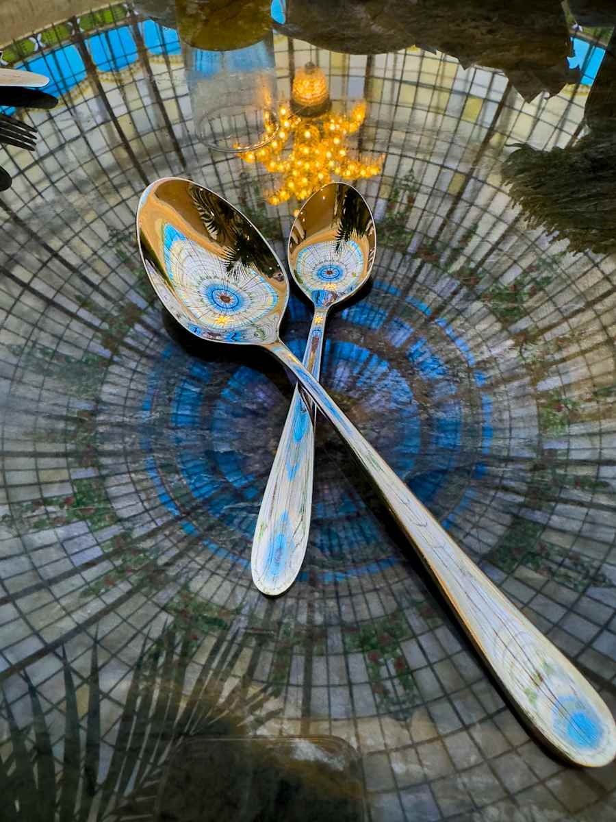 Crossed Spoons by Lee Cooper  Image: The reflected dome from another POV