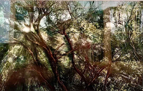 Malibu Gold #2 by Elyse Wyman 