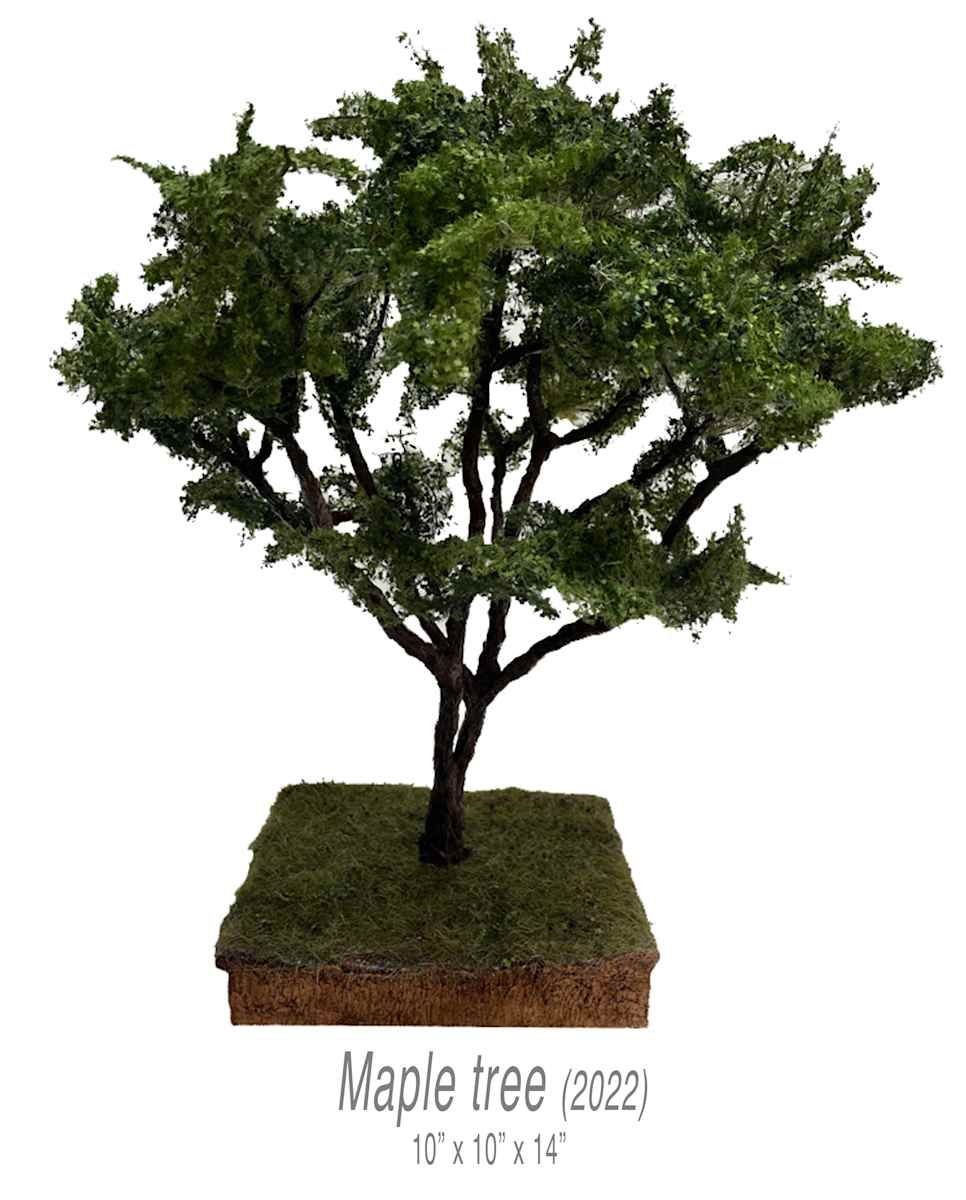 Maple tree by Gary Polonsky, Image 1.