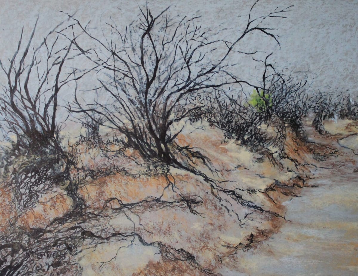 Riverbed Roots by Helen McLuckie 