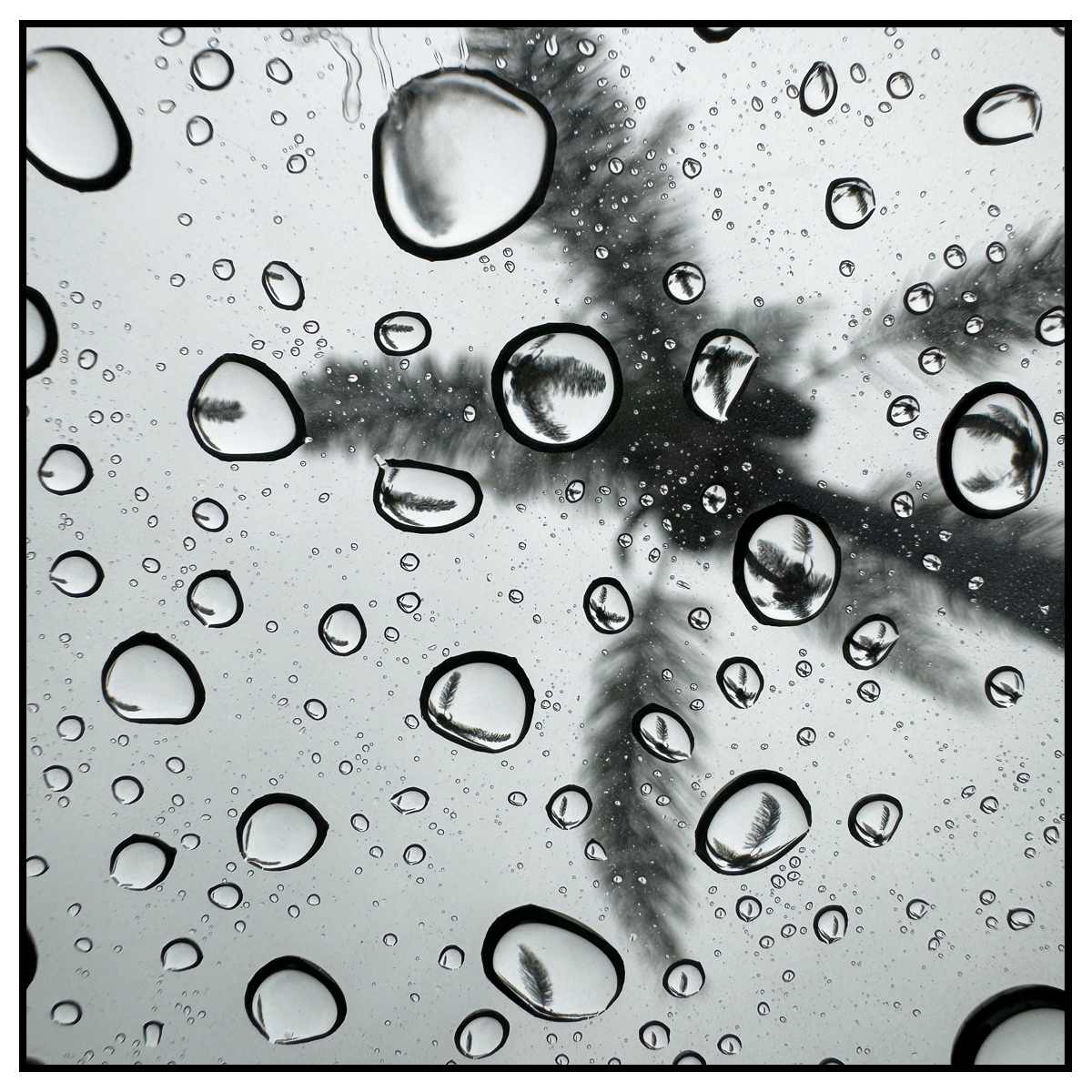 Sunroof by ADCO 