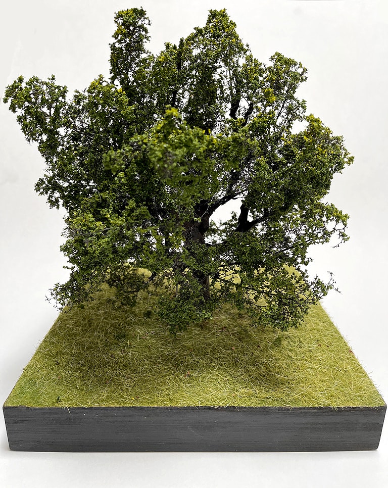 Small Oak Tree 3 by Gary Polonsky 