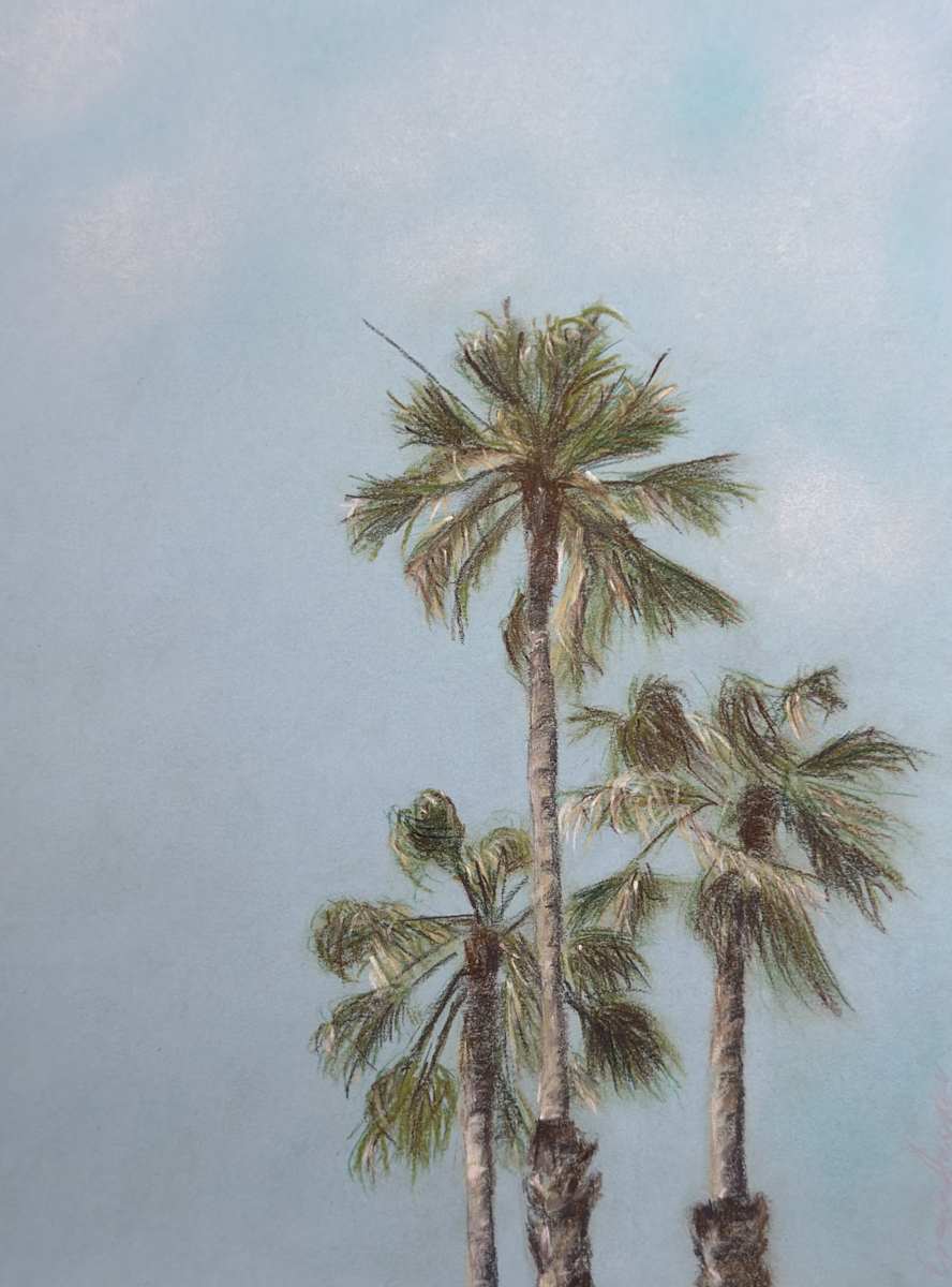 Palm Stories by Oxana Akopov 