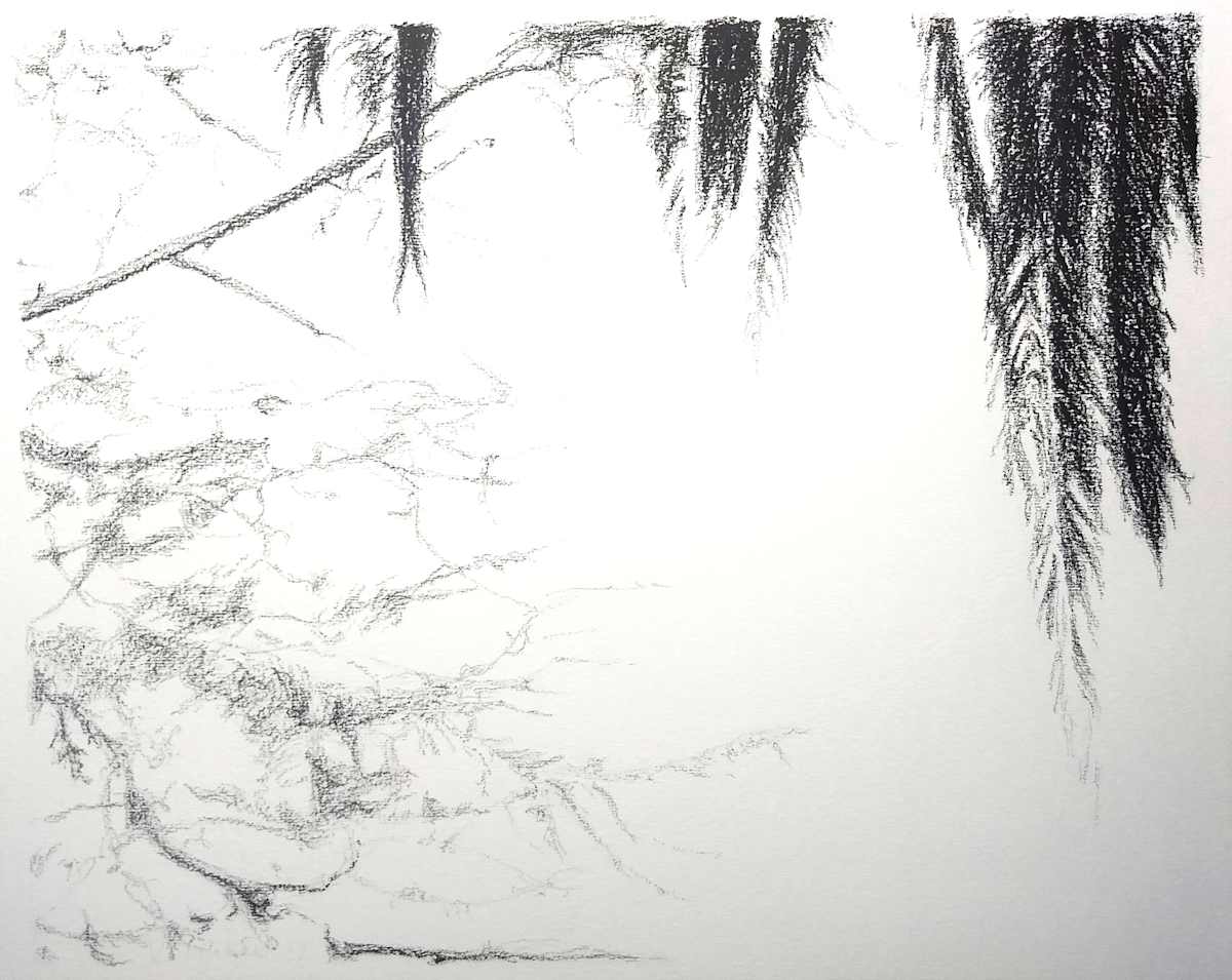 Palms and Pine by Victoria Loschuk 