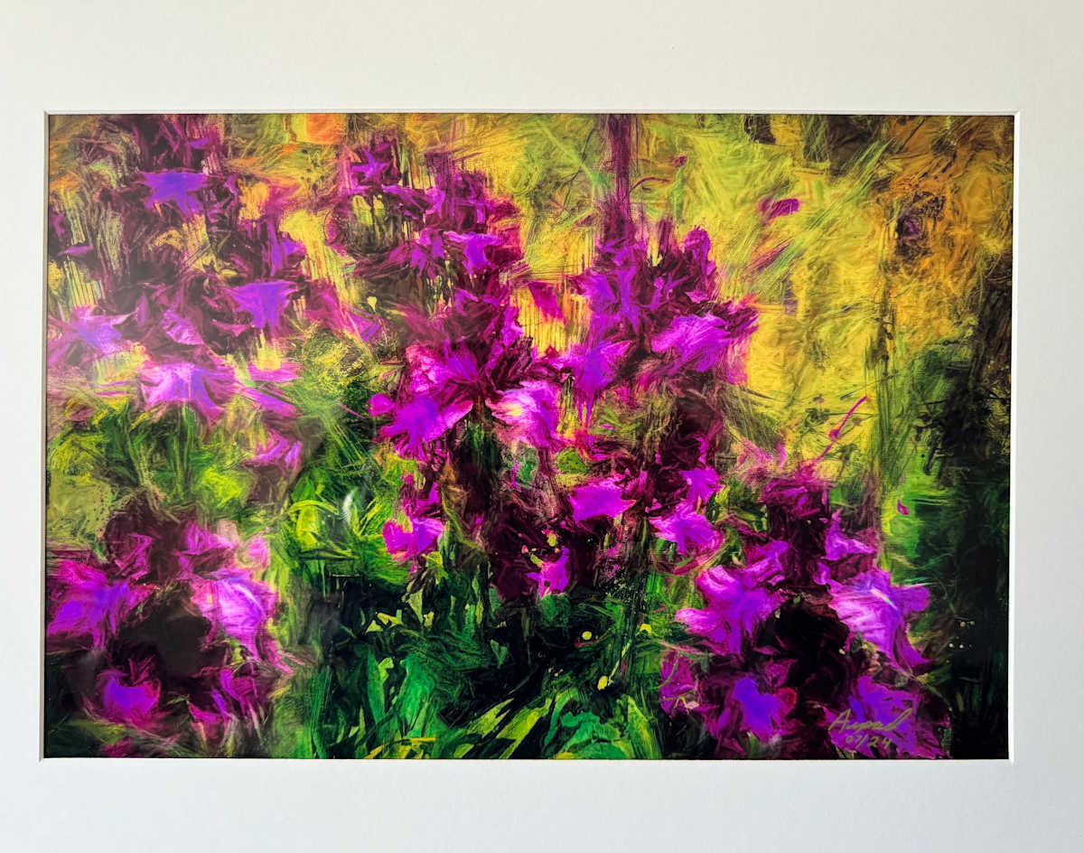 Washington Flowers by Arpad Petrass 