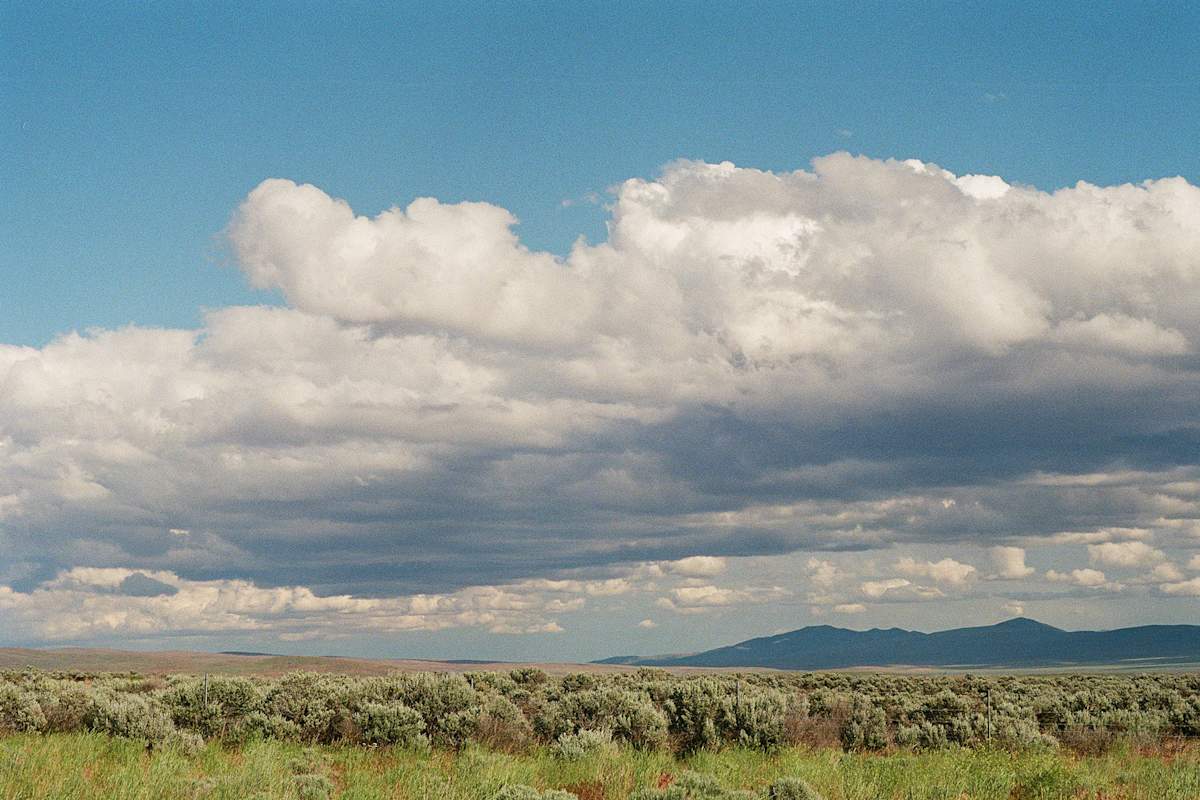 When Clouds Mirrored the Shrub by Joshua H. Phelps, Image 1.