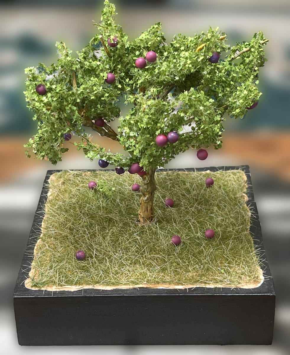 Plum tree by Gary Polonsky, Image 1.