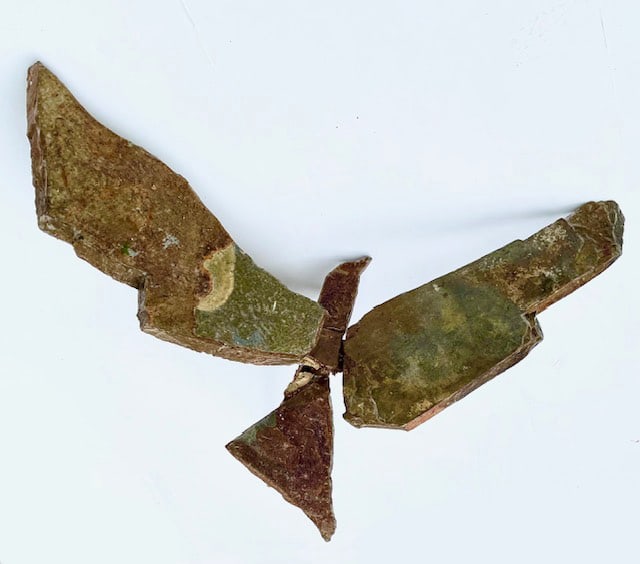 Raptor Series No. 12 by Don Paglia 