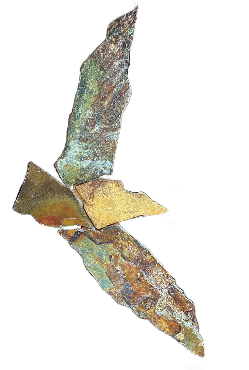 Raptor Series No. 19 by Don Paglia, Image 1.