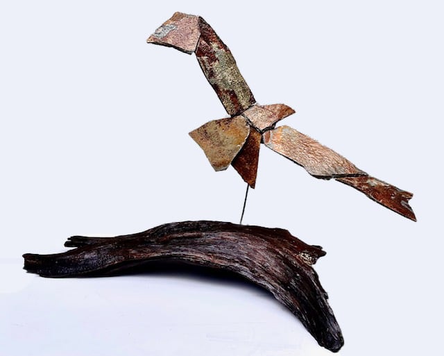 Raptor  Series No. 22 by Don Paglia, Image 1.