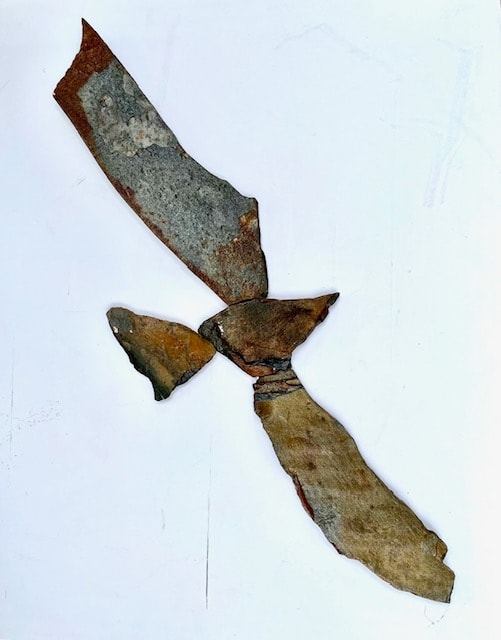 Raptor Series No. 6 by Don Paglia, Image 1.