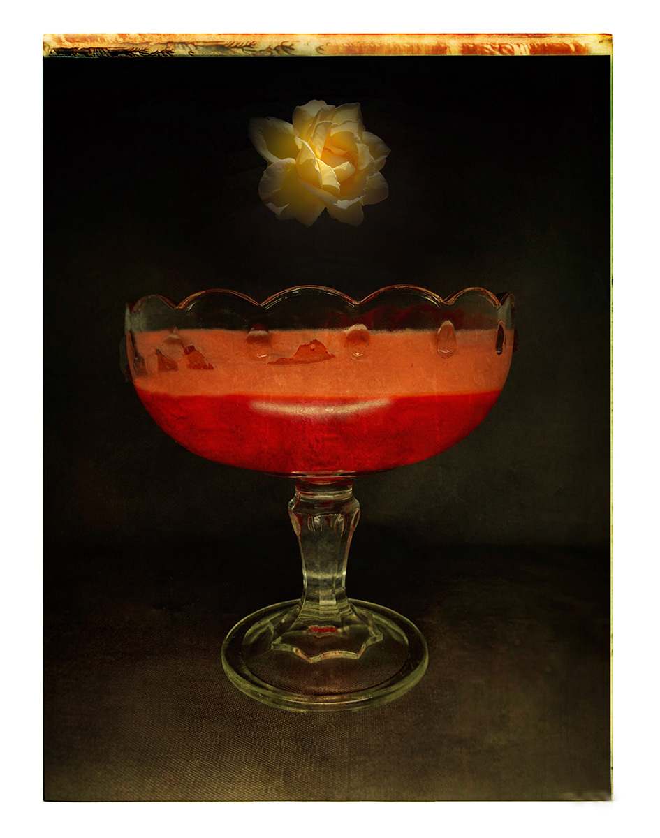 Orange Jello with Rose by Ellen Rundle, Image 1.