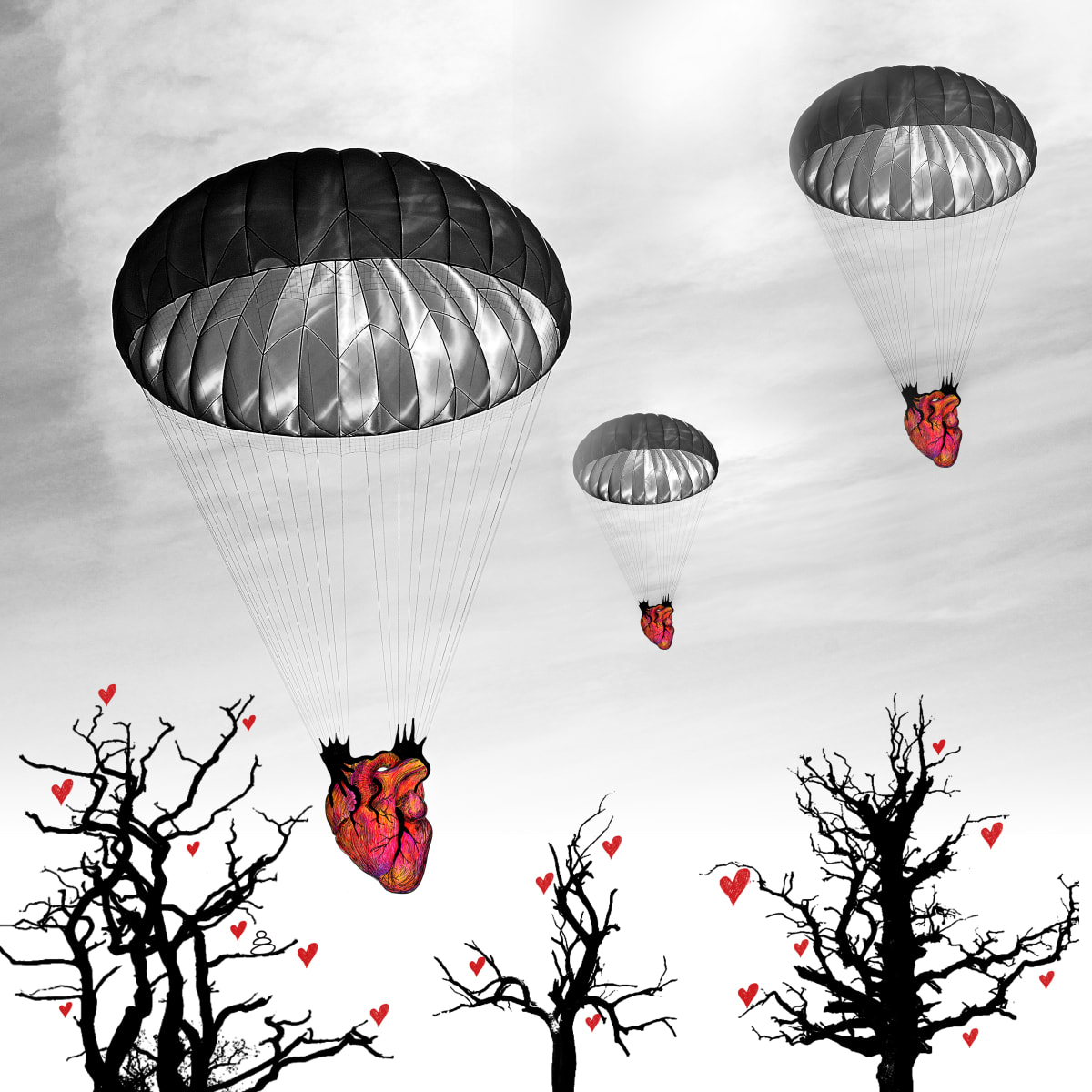 Surrender by Barbara Tevarotto, Image 1.