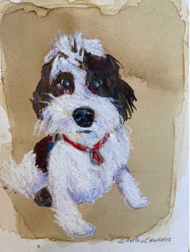 Molly by Shelley Lazarus 