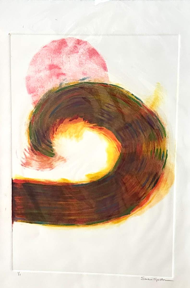 Swish by Susan Spector 