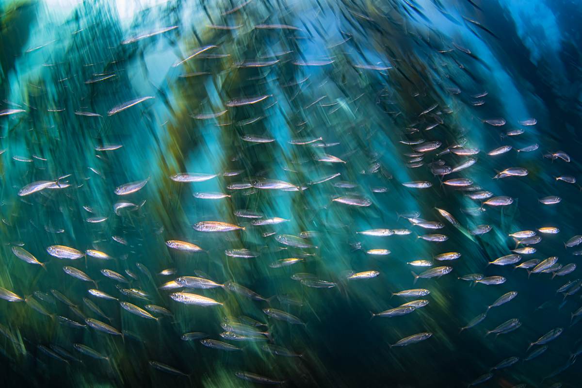 Trust the Flow by Explorers Photography 