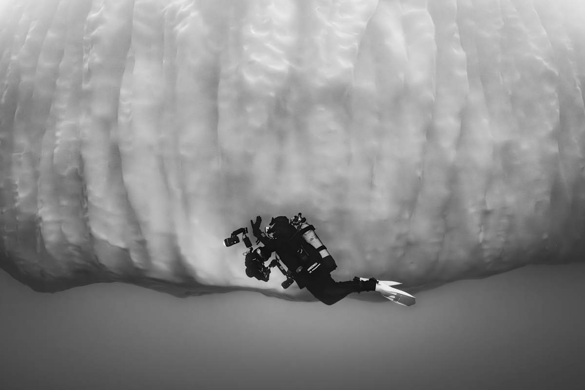 Iceborne by Explorers Photography 