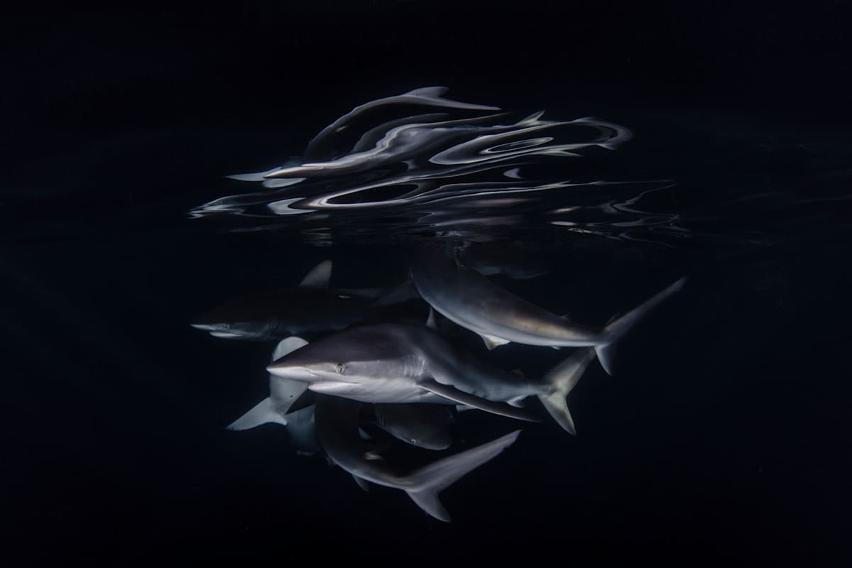 Silky Mirage by Explorers Photography 