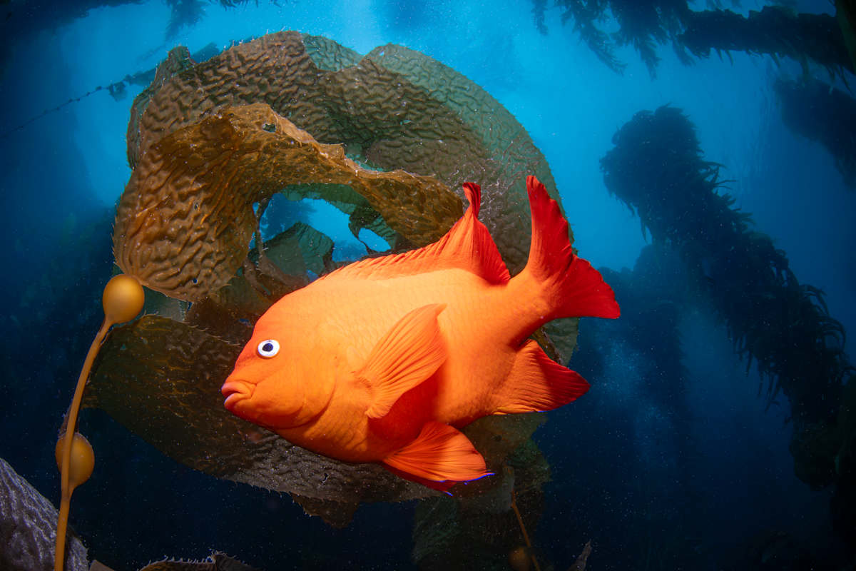 It's a Gary world out there! by Explorers Photography 