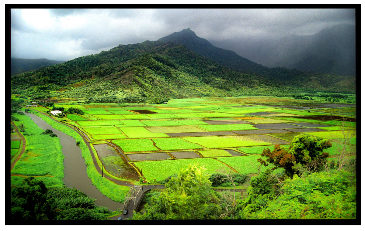 Hanalei Valley by Rustam Tahir 