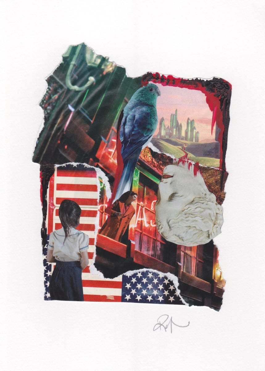 American Dream by Rayshell Todd 
