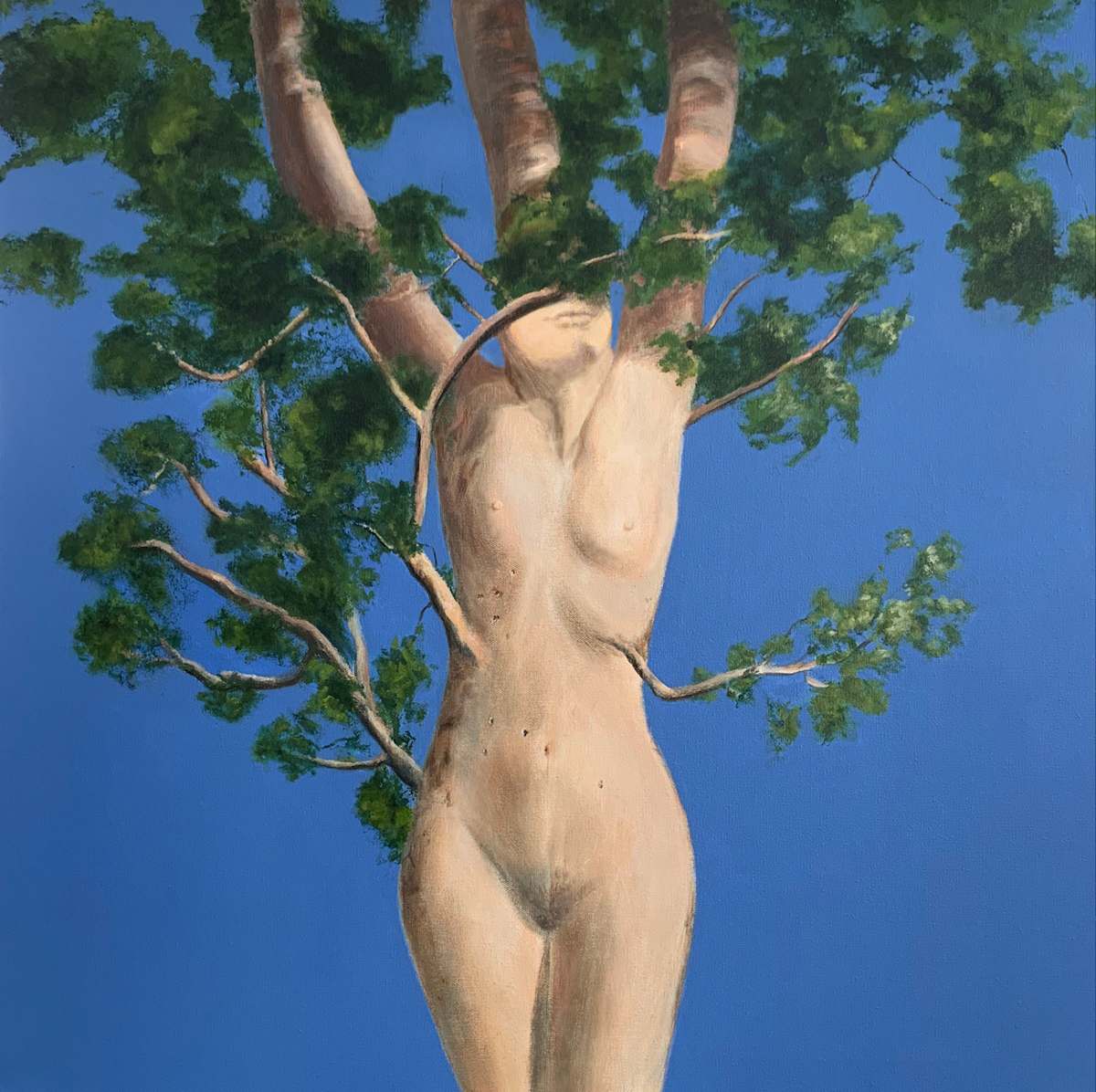 Tree of Life by Seta Injeyan 