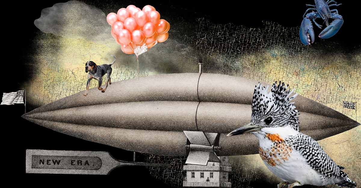 Untitled Another by Wendy Tigerman, Image 1.