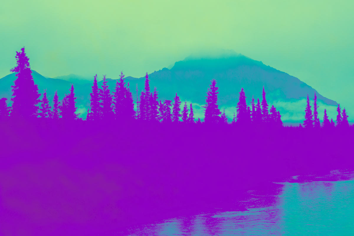 Wilderness Dreamscape by Diane Lamboley, Image 1.