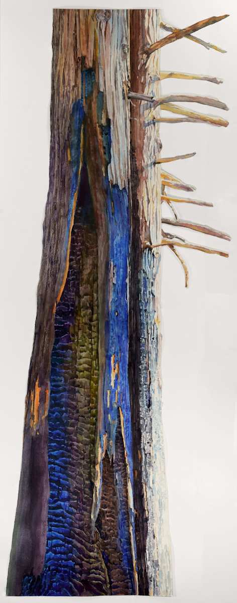 Twinned Cedar by Suze Woolf, Image 8.