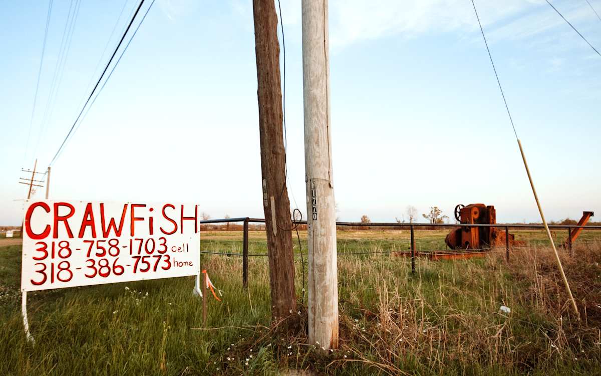 Vidalia, LA - 2008 by Matthew Rabin, Image 1.