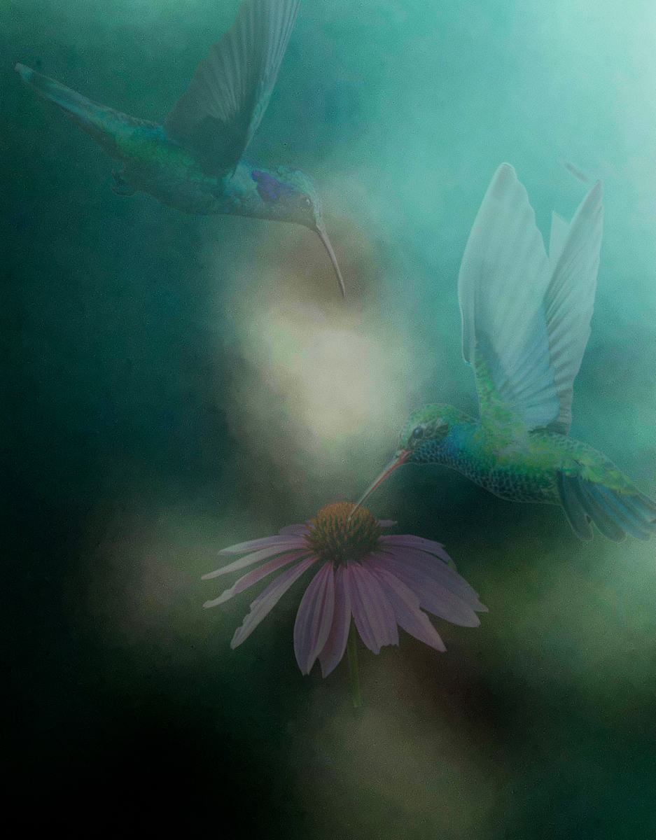 Hummers by Wendy Tigerman 