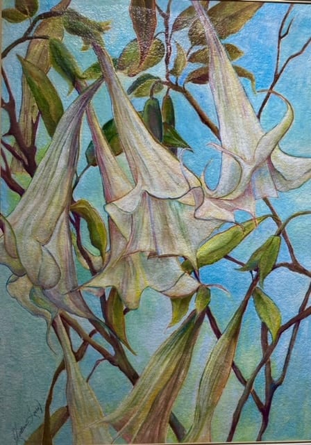 ANGEL TRUMPETS by Kathleen Losey 