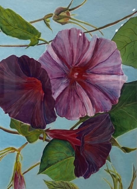 MORNING GLORIES by Kathleen Losey 