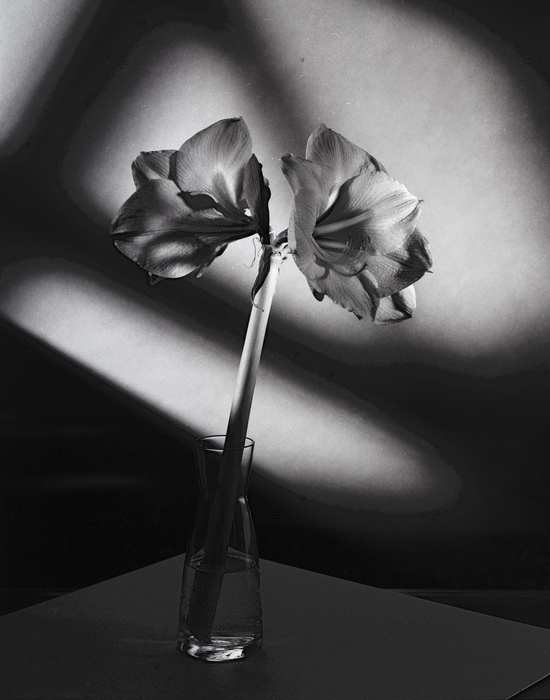 Manny's Glass #2 by Mark Woods, Image 1.