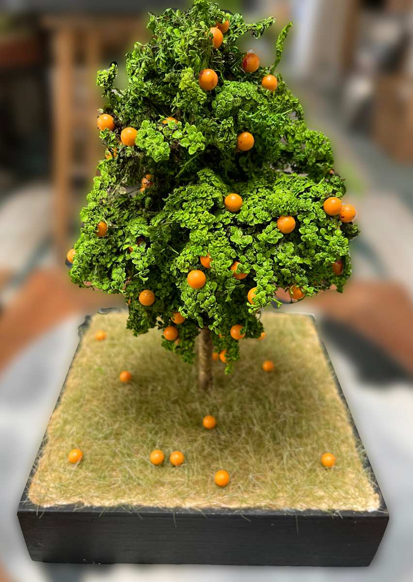 Orange tree by Gary Polonsky, Image 1.