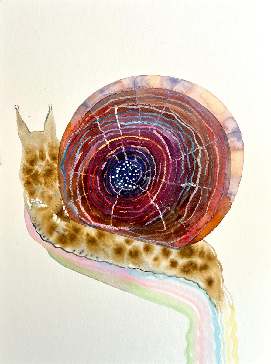 Snail study by Laura Ball 