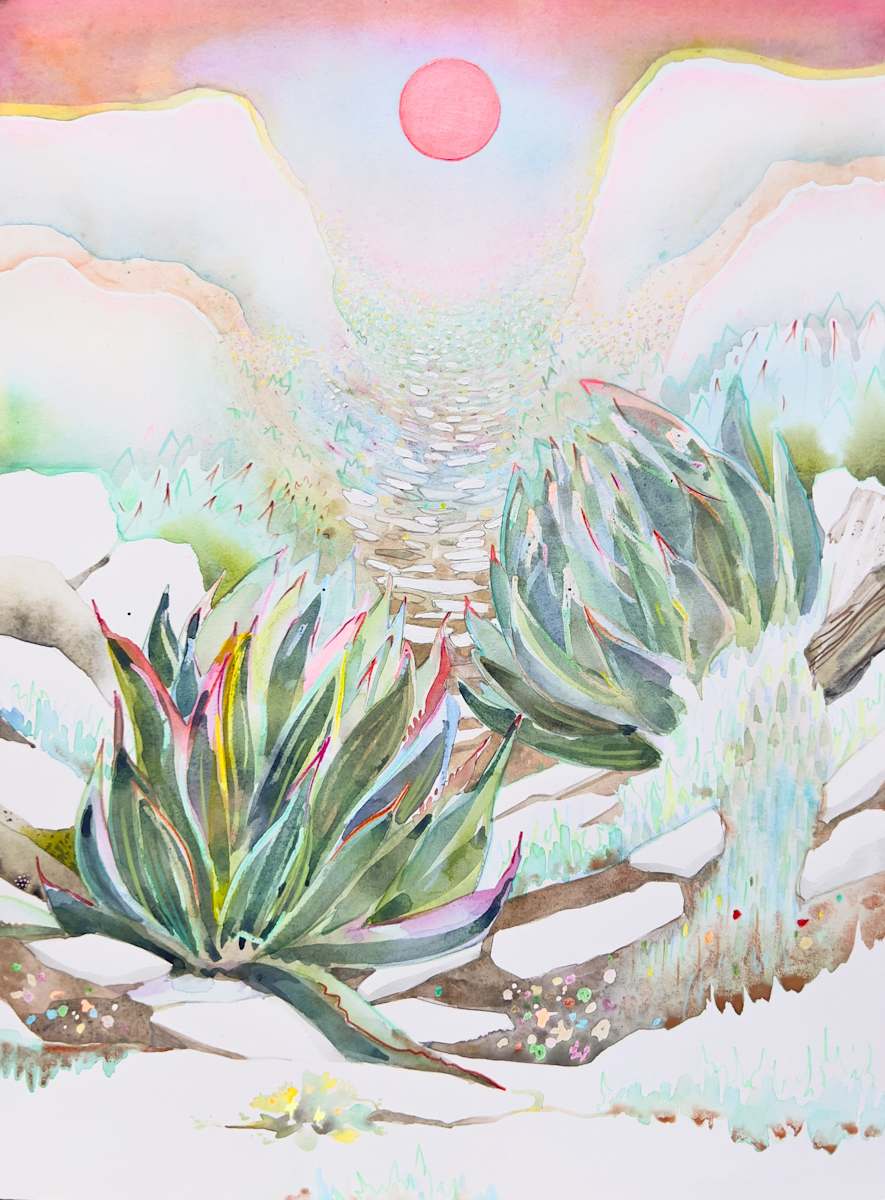 Sunset and Agaves by Laura Ball, Image 1.