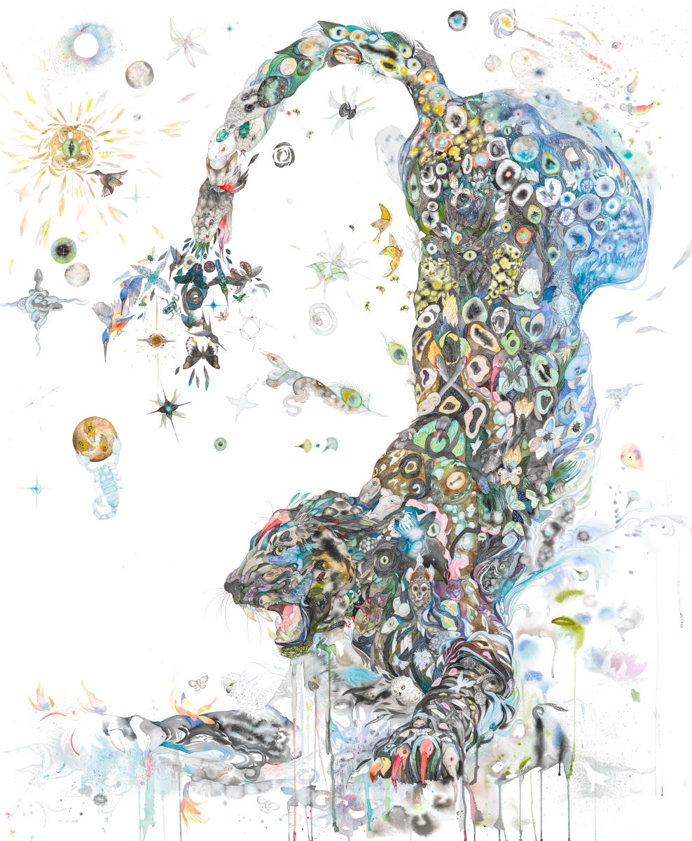 Cosmos by Laura Ball 