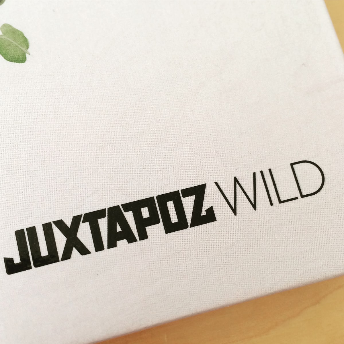 Juxtapoz Wild by Laura Ball 