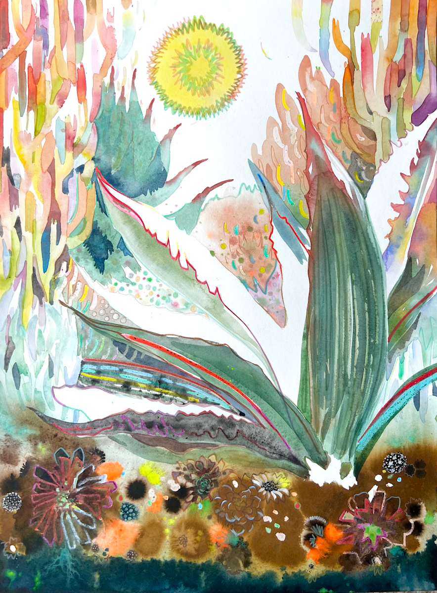 The Dry Garden by Laura Ball 