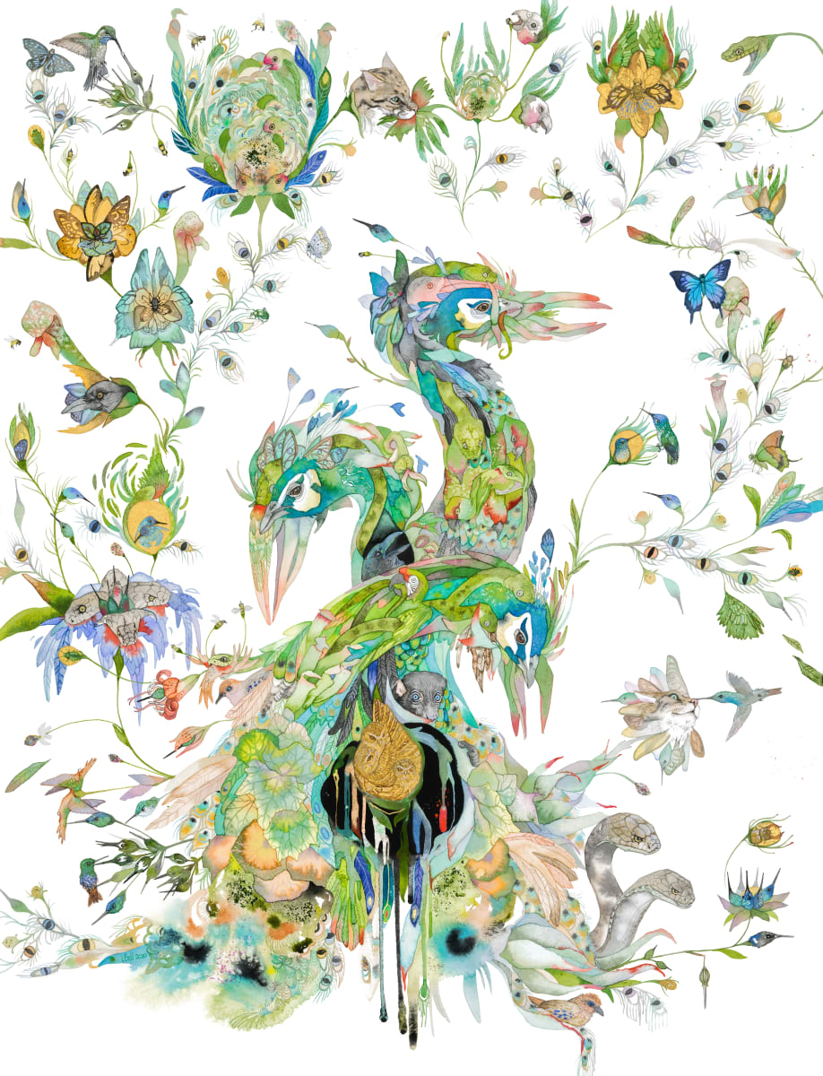 Wild Flowers (Peacock Botanical) by Laura Ball 