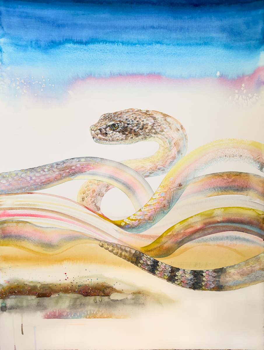 Diamondback by Laura Ball 