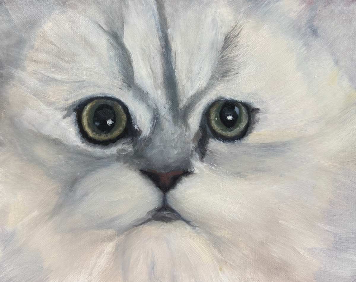 Kitty, Kitty by Pat Wattam  Image: Kitty Kitty 