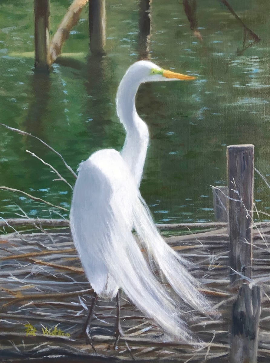 Avery Island Nest by Pat Wattam 