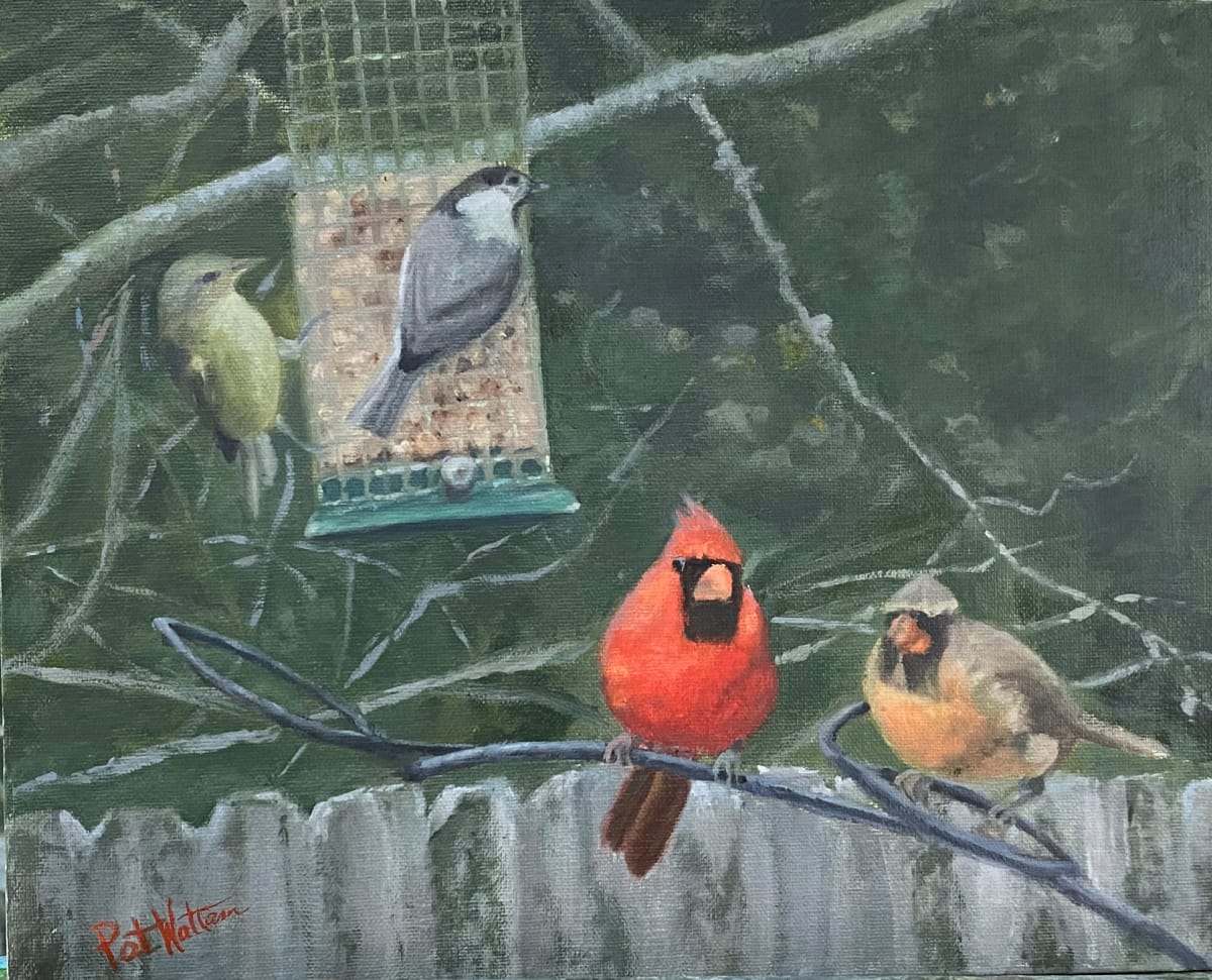 Backyard Birds by Pat Wattam, Image 12.