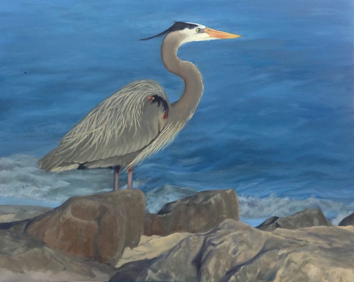 Heron on the Rock by Pat Wattam 
