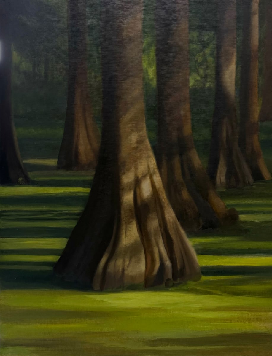 Sunlit Swamp by Pat Wattam  Image: Sunlit Swamp